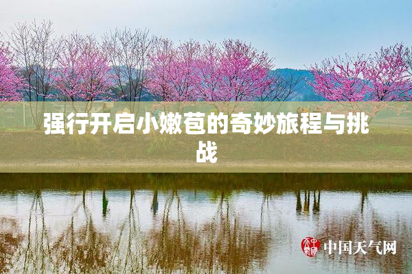 强行开启小嫩苞的奇妙旅程与挑战