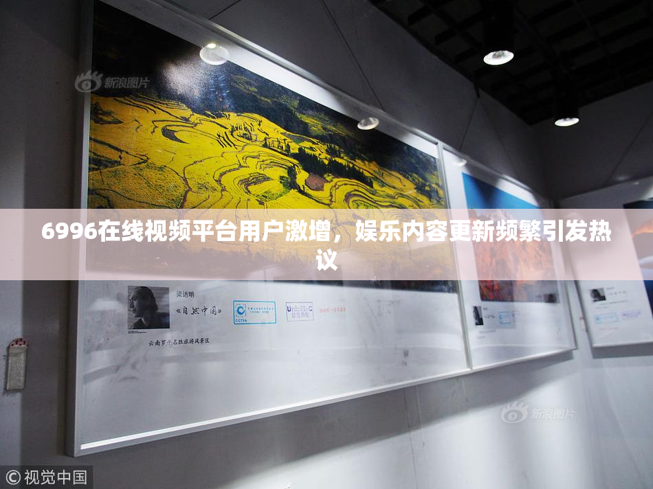 6996在线视频平台用户激增，娱乐内容更新频繁引发热议