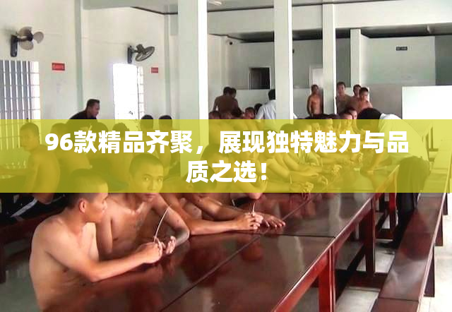 96款精品齐聚，展现独特魅力与品质之选！