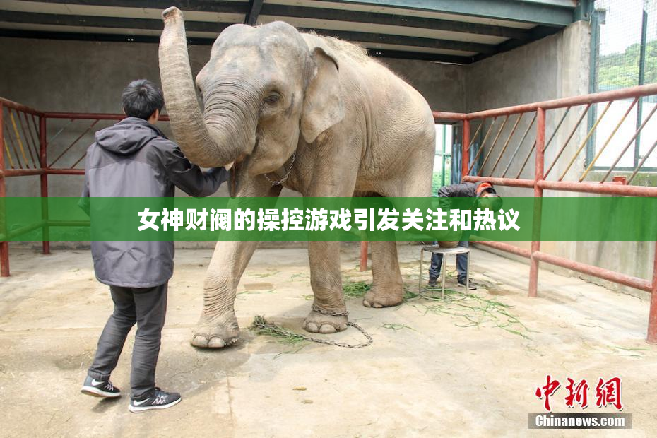 女神财阀的操控游戏引发关注和热议