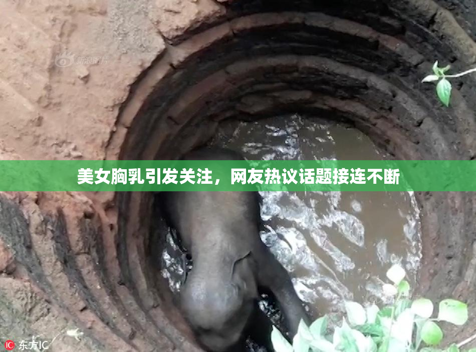 美女胸乳引发关注，网友热议话题接连不断