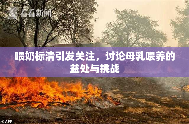 喂奶标清引发关注，讨论母乳喂养的益处与挑战