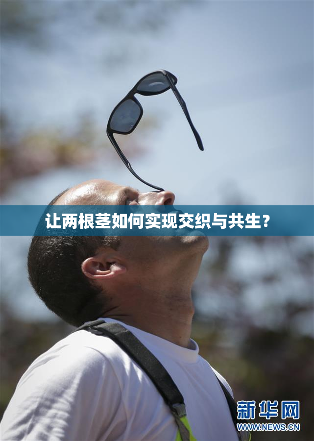 让两根茎如何实现交织与共生？