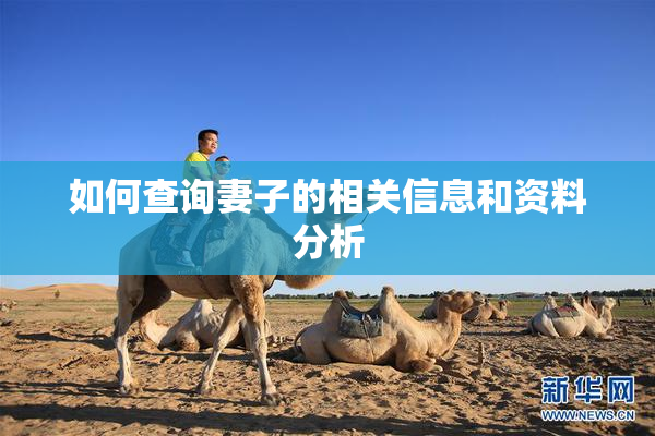 如何查询妻子的相关信息和资料分析