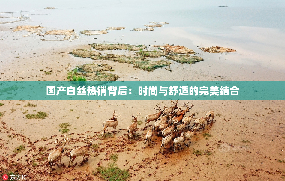 国产白丝热销背后：时尚与舒适的完美结合