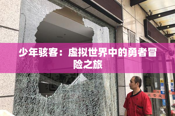 少年骇客：虚拟世界中的勇者冒险之旅
