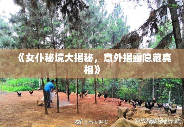 《女仆秘境大揭秘，意外揭露隐藏真相》