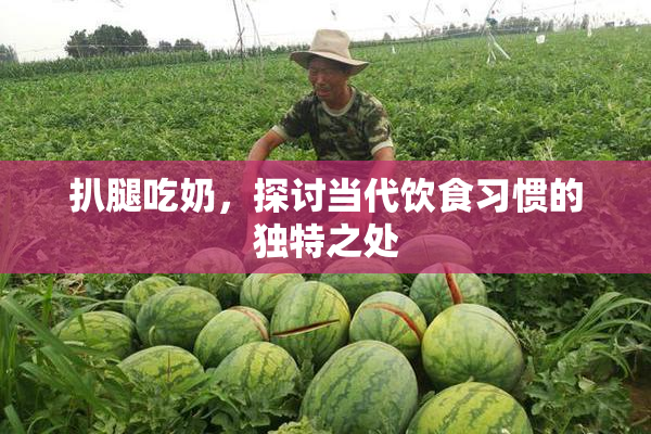 扒腿吃奶，探讨当代饮食习惯的独特之处
