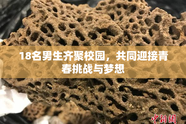 18名男生齐聚校园，共同迎接青春挑战与梦想