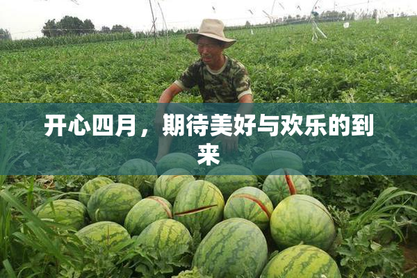开心四月，期待美好与欢乐的到来