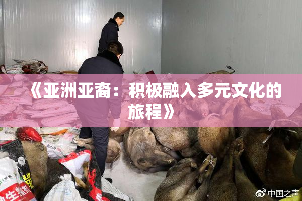 《亚洲亚裔：积极融入多元文化的旅程》