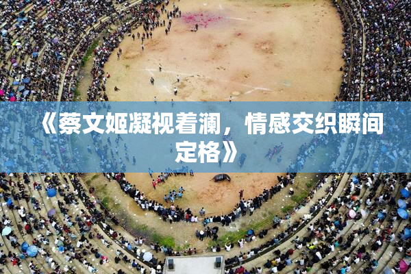 《蔡文姬凝视着澜，情感交织瞬间定格》
