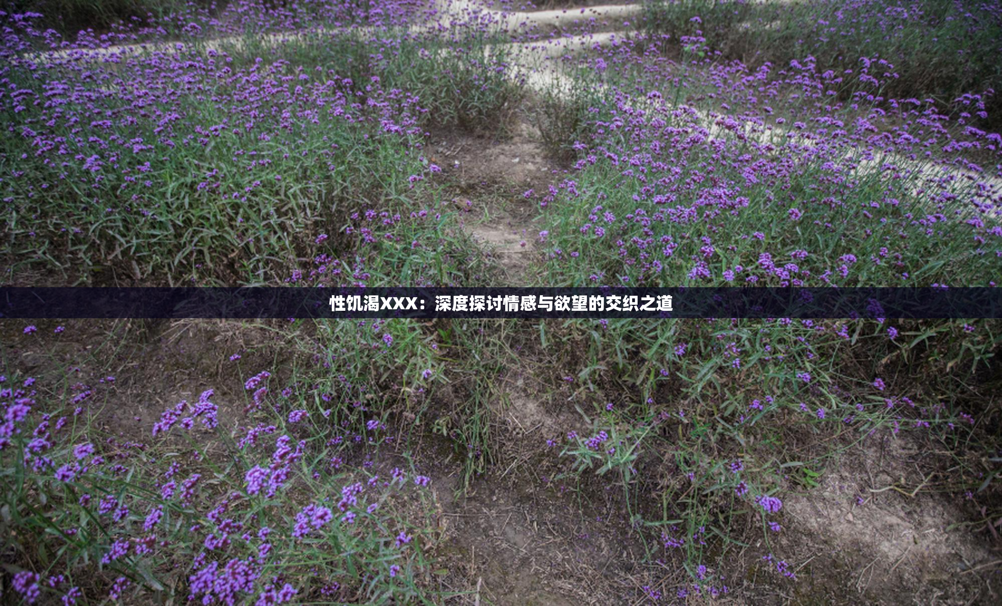 性饥渴XXX：深度探讨情感与欲望的交织之道