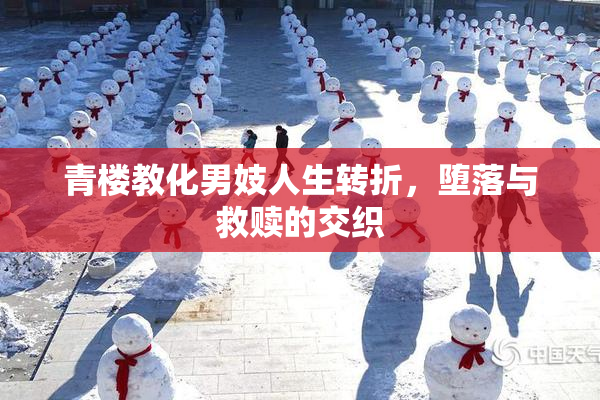 青楼教化男妓人生转折，堕落与救赎的交织