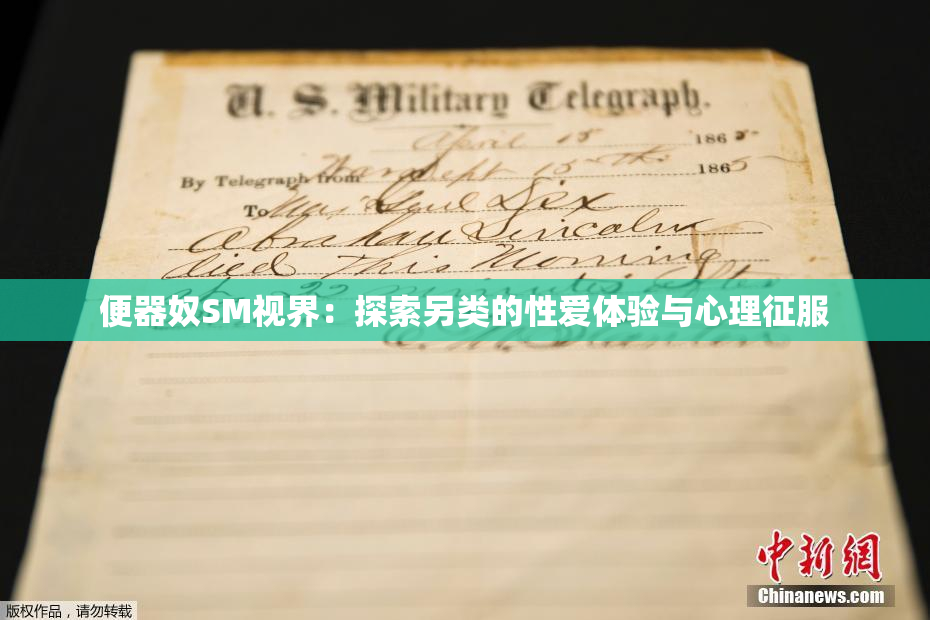 便器奴SM视界：探索另类的性爱体验与心理征服