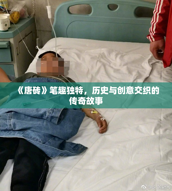 《唐砖》笔趣独特，历史与创意交织的传奇故事