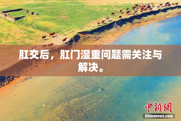 肛交后，肛门湿重问题需关注与解决。