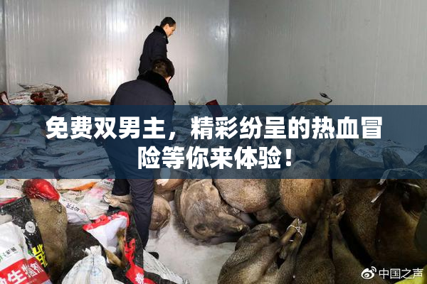 免费双男主，精彩纷呈的热血冒险等你来体验！