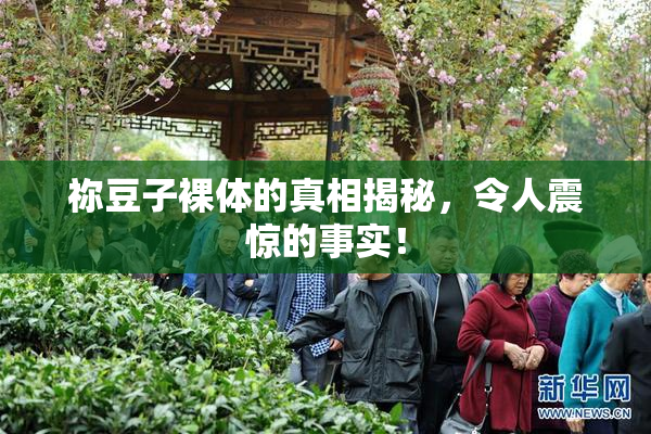 祢豆子裸体的真相揭秘，令人震惊的事实！