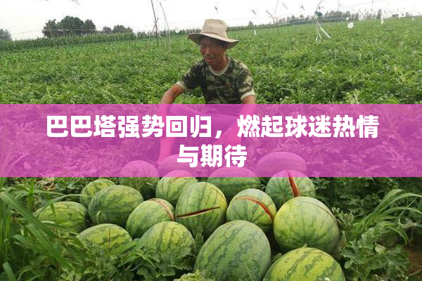 巴巴塔强势回归，燃起球迷热情与期待