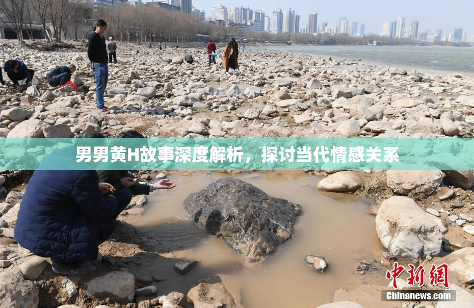 男男黄H故事深度解析，探讨当代情感关系
