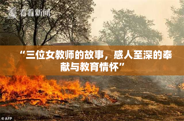 “三位女教师的故事，感人至深的奉献与教育情怀”