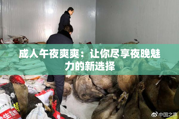 成人午夜爽爽：让你尽享夜晚魅力的新选择