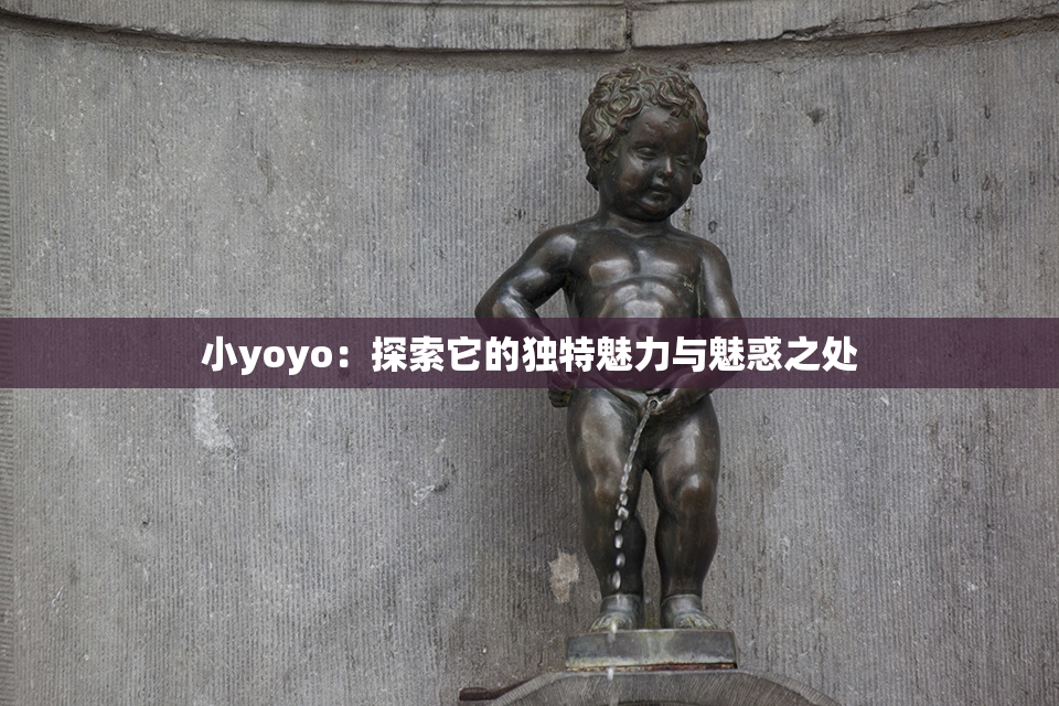 小yoyo：探索它的独特魅力与魅惑之处