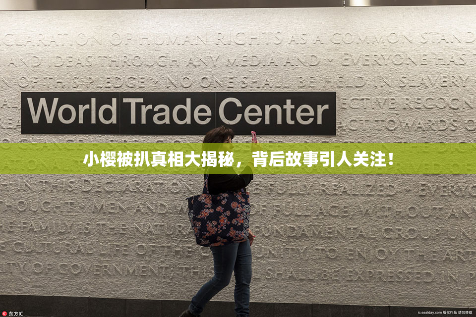 小樱被扒真相大揭秘，背后故事引人关注！