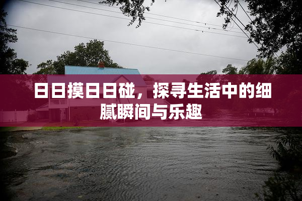 日日摸日日碰，探寻生活中的细腻瞬间与乐趣