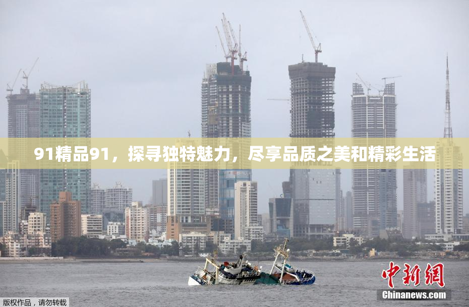 91精品91，探寻独特魅力，尽享品质之美和精彩生活