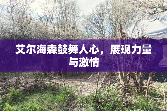 艾尔海森鼓舞人心，展现力量与激情