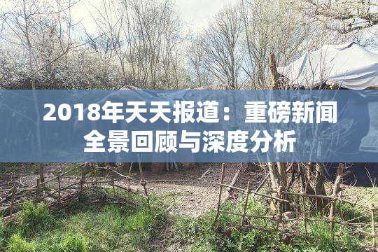2018年天天报道：重磅新闻全景回顾与深度分析