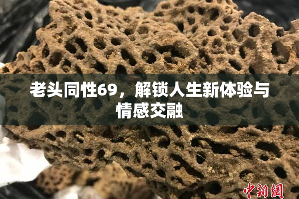 老头同性69，解锁人生新体验与情感交融