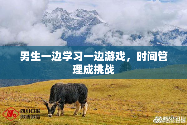 男生一边学习一边游戏，时间管理成挑战