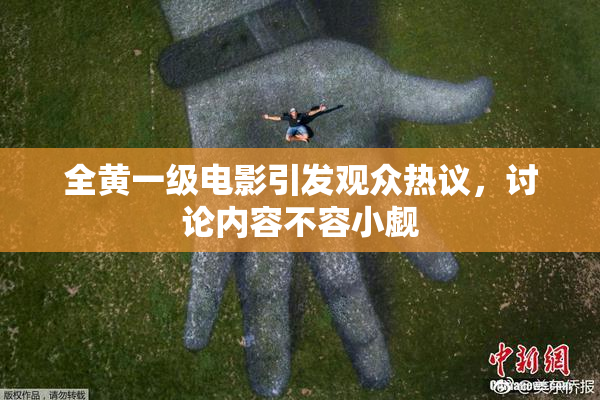 全黄一级电影引发观众热议，讨论内容不容小觑
