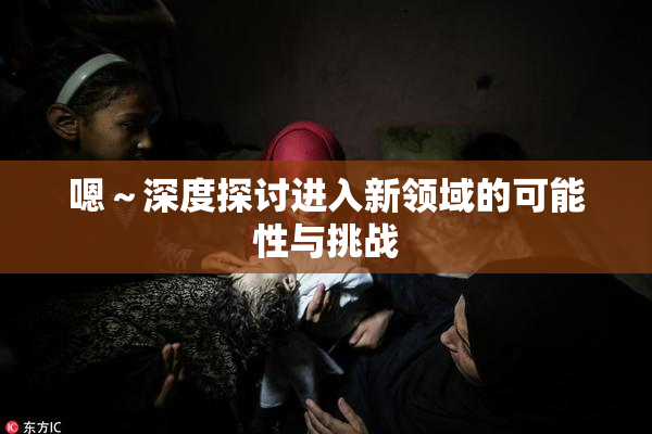 嗯～深度探讨进入新领域的可能性与挑战