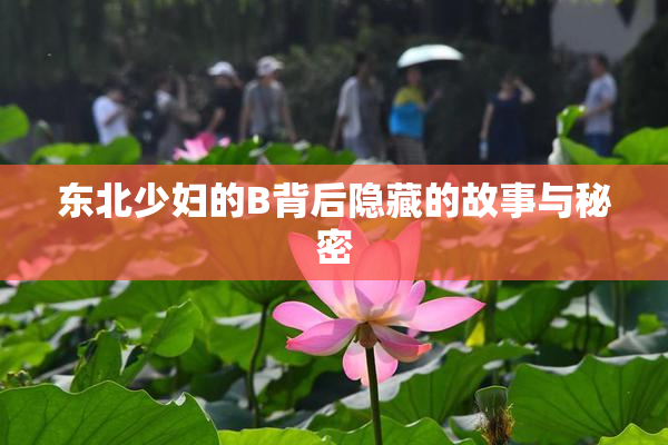 东北少妇的B背后隐藏的故事与秘密