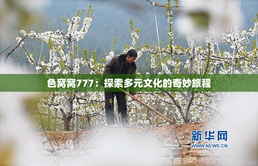 色窝窝777：探索多元文化的奇妙旅程