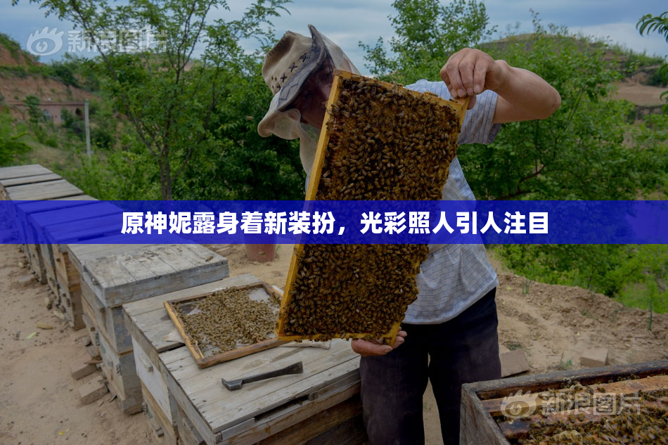 原神妮露身着新装扮，光彩照人引人注目