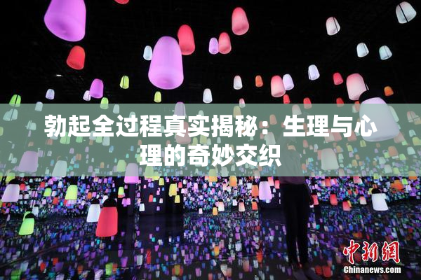 勃起全过程真实揭秘：生理与心理的奇妙交织