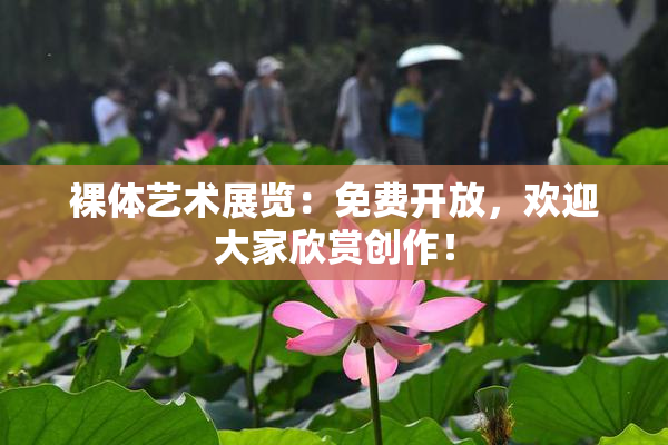 裸体艺术展览：免费开放，欢迎大家欣赏创作！