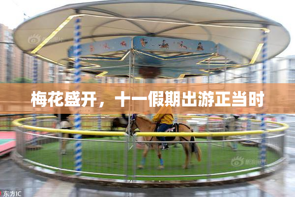 梅花盛开，十一假期出游正当时