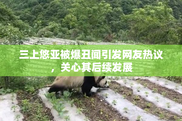 三上悠亚被爆丑闻引发网友热议，关心其后续发展