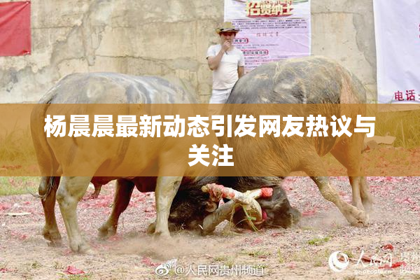 杨晨晨最新动态引发网友热议与关注