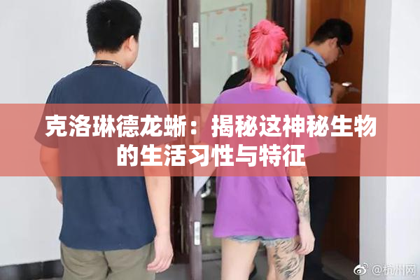 克洛琳德龙蜥：揭秘这神秘生物的生活习性与特征