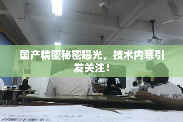 国产精密秘密曝光，技术内幕引发关注！