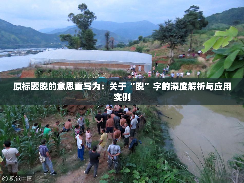 原标题睨的意思重写为：关于“睨”字的深度解析与应用实例