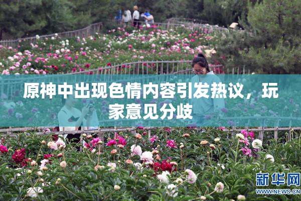原神中出现色情内容引发热议，玩家意见分歧