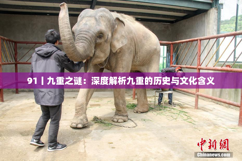 91丨九重之谜：深度解析九重的历史与文化含义